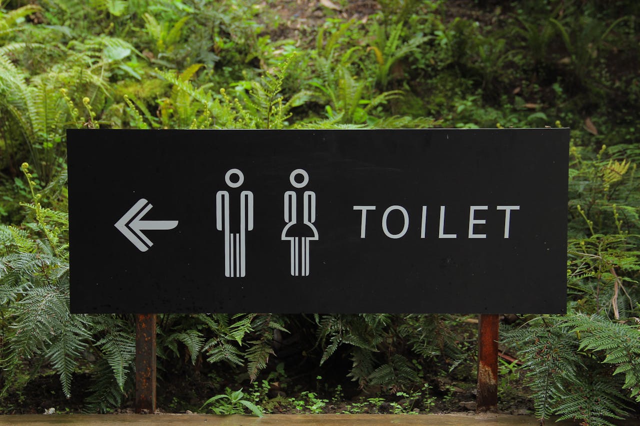 The Indian Sarais Act of 1867: The right to use the toilet facilities at hotels and lodges 